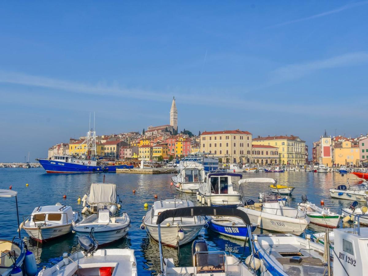 Apartment Alba - Roj157 By Interhome Rovinj Kültér fotó
